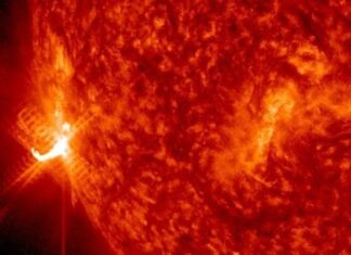 Зустрічайте Surya, нову модель штучного інтелекту від NASA та IBM, яка може передбачати сонячні спалахи