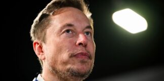 Musk startet Grokipedia: Eine KI-gestützte Enzyklopädie übernimmt Wikipedia