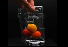 Революційний «Ідеальний пластик» вирішує проблему мікропластику