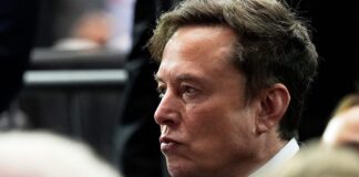 Irland untersucht Elon Musks Grok wegen KI-generierter Bilder von sexuellem Missbrauch