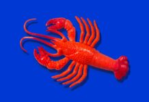 OpenClaw: AI Assistant будує власну екосистему