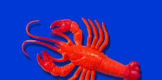 OpenClaw: Asisten AI yang Membangun Ekosistemnya Sendiri