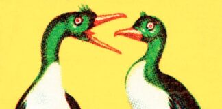 Navegando em conflitos políticos com a família: um guia prático