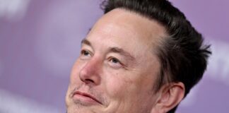 IA y carrera espacial: la dinámica del mercado privado cambia a medida que se avecina la salida a bolsa de SpaceX