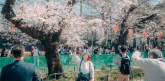 AI Memprediksi Musim Bunga Sakura di Jepang dengan Akurasi yang Belum Pernah Ada Sebelumnya