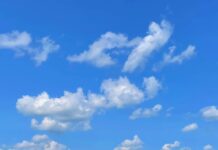 Bluesky setzt auf die Langform, während X seine Tore geschlossen hält