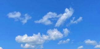 Bluesky apuesta por la forma larga, mientras X mantiene sus puertas cerradas
