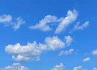 Bluesky робить ставку на довгі тексти, поки X тримає двері на замку