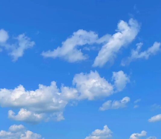 Bluesky робить ставку на довгі тексти, поки X тримає двері на замку