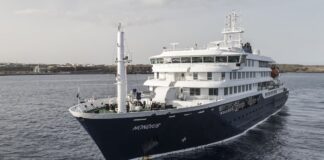 Кризис на круизном лайнере: внутри вспышки хантавирусной инфекции на m/v Hondius
