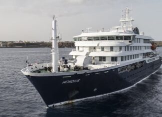 Кризис на круизном лайнере: внутри вспышки хантавирусной инфекции на m/v Hondius