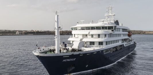 Кризис на круизном лайнере: внутри вспышки хантавирусной инфекции на m/v Hondius