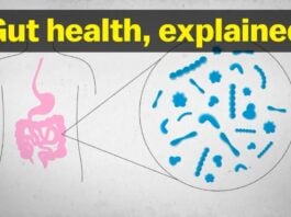 Debunking viral gut health myths: what science actually says
