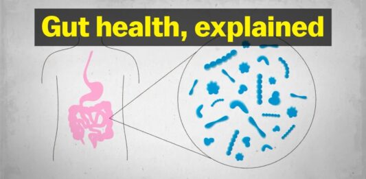 Desmentir los mitos virales sobre la salud intestinal: lo que realmente dice la ciencia