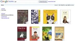 How Google Books Digitized Libraries: The Rise and Backlash of Google Print